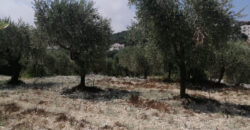 Land for Sale Bejdarfil Batroun Area 1370Sqm