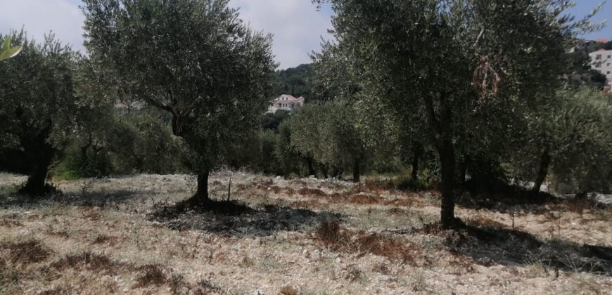 Land for Sale Bejdarfil Batroun Area 1370Sqm