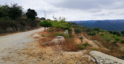 Land for Sale Bejjeh Jbeil Area 6000Sqm