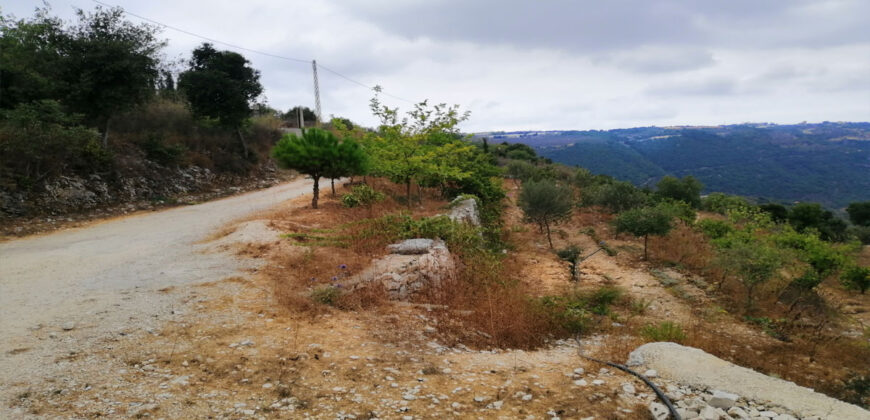 Land for Sale Bejjeh Jbeil Area 6000Sqm