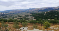 Land for Sale Bejjeh Jbeil Area 6000Sqm