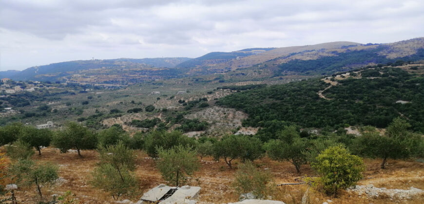 Land for Sale Bejjeh Jbeil Area 6000Sqm
