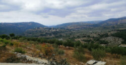 Land for Sale Bejjeh Jbeil Area 6000Sqm