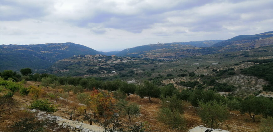 Land for Sale Bejjeh Jbeil Area 6000Sqm