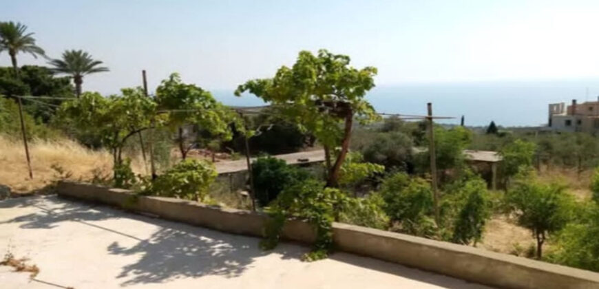 House for Sale Berbara Jbeil Area Housing 300Sqm Land Area 1731Sqm