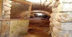 House for Sale Berbara Jbeil Area Housing 300Sqm Land Area 1731Sqm