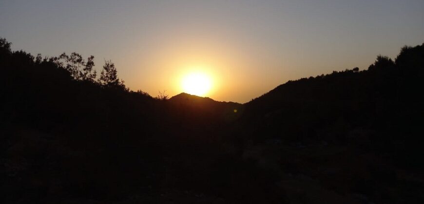 Land for Sale Hjoula Jbeil Area 5263Sqm