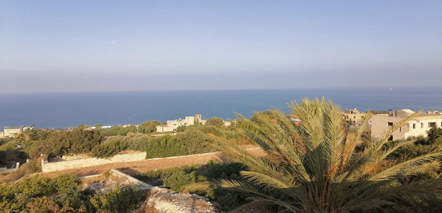 Old House for Sale Tehoum Batroun Housing Area 200Sqm Land Area 2214Sqm
