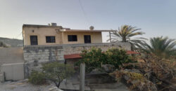 Old House for Sale Tehoum Batroun Housing Area 200Sqm Land Area 2214Sqm