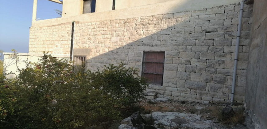 Old House for Sale Tehoum Batroun Housing Area 200Sqm Land Area 2214Sqm