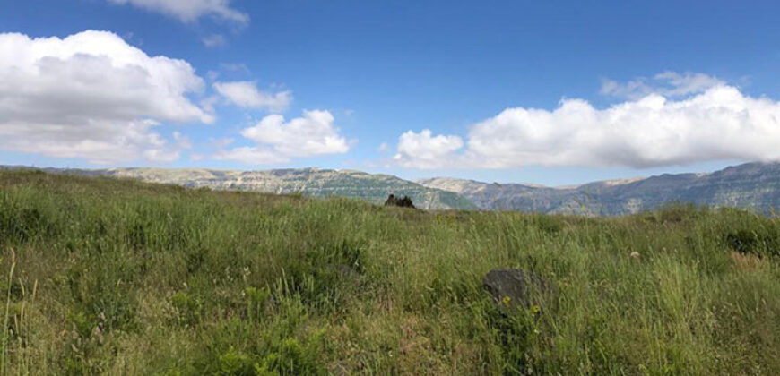 Land for Sale Qartaba ( Hsaya ) Jbeil Area 3001Sqm