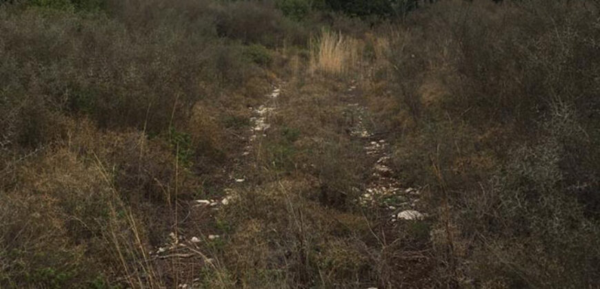 Land for Sale Bejjeh Jbeil Area 17032Sqm