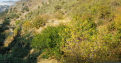 Land for Sale Tannourine – Faouqa Batroun Area 17410Sqm
