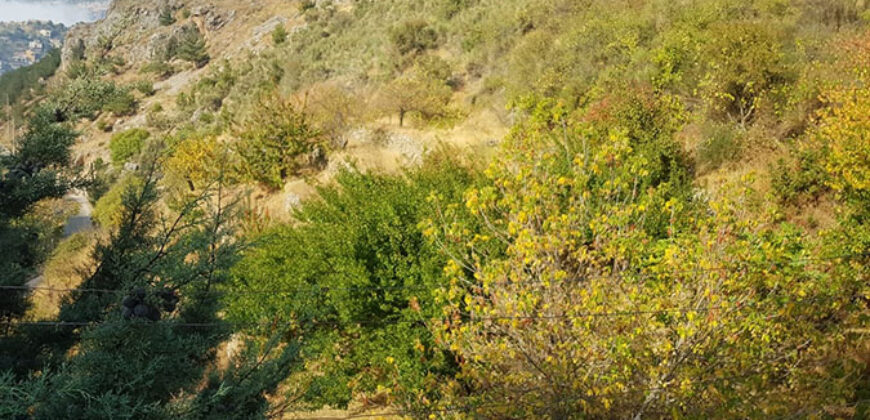 Land for Sale Tannourine – Faouqa Batroun Area 17410Sqm