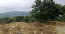 Land for Sale Zebdine Jbeil Area 925Sqm