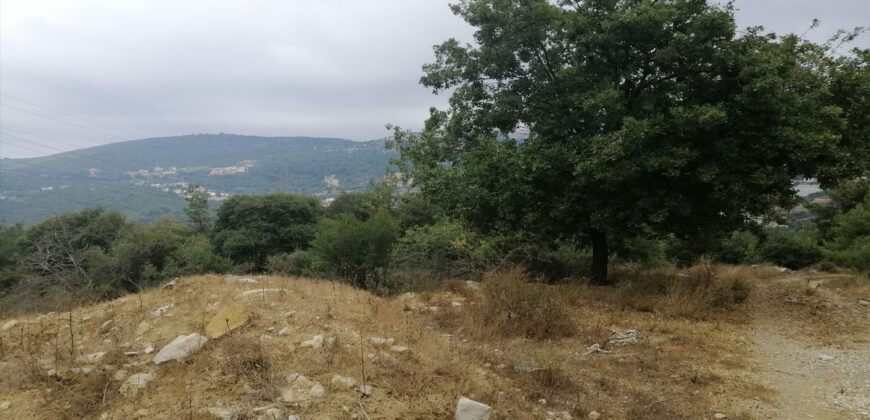 Land for Sale Zebdine Jbeil Area 925Sqm