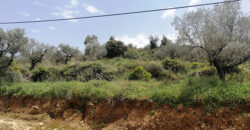 Land for Sale Aassia Batroun Area 583Sqm
