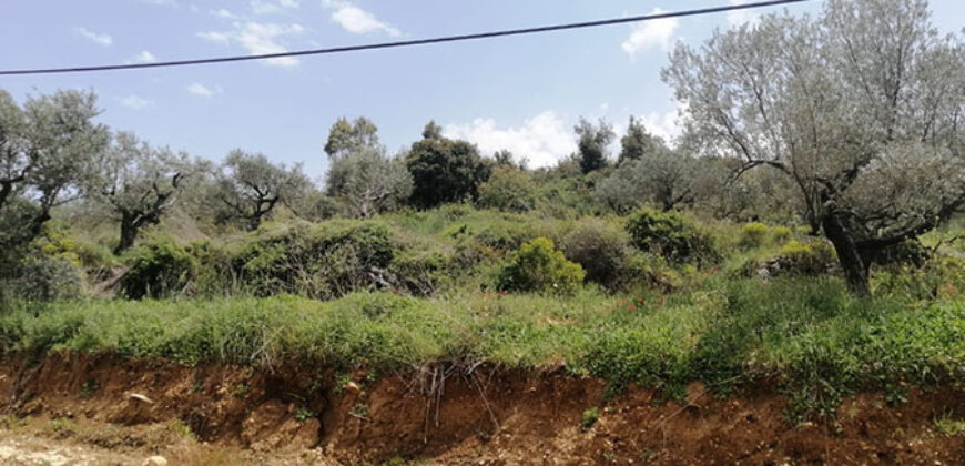 Land for Sale Aassia Batroun Area 583Sqm