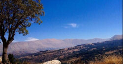 Land for Sale Hardine – Beit Kassab Batroun Area 60000Sqm