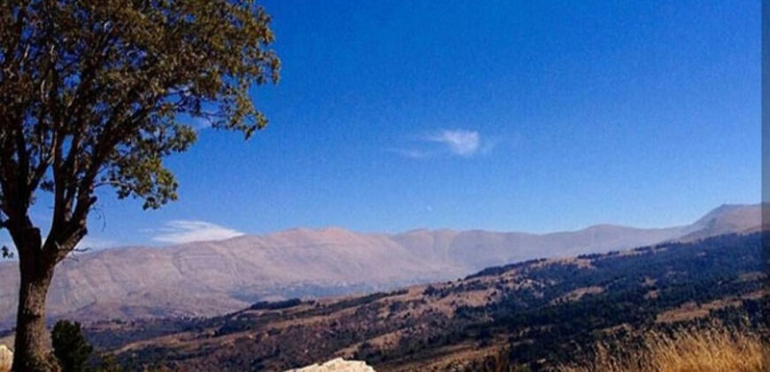 Land for Sale Hardine – Beit Kassab Batroun Area 60000Sqm