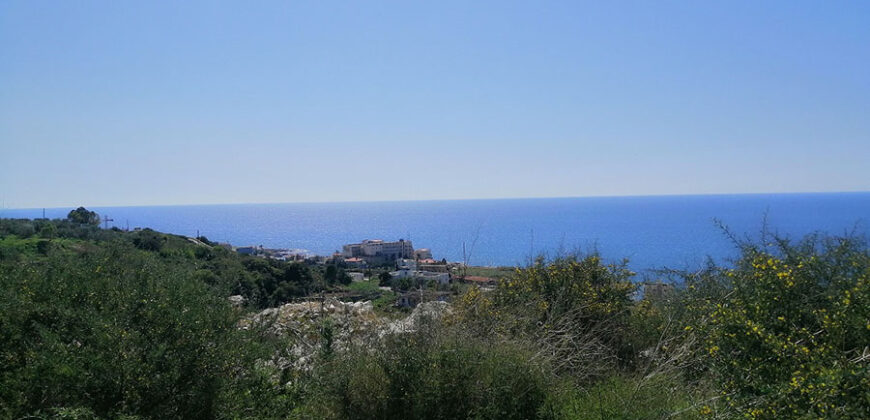 Land for Sale Monsef Jbeil Area 3950Sqm