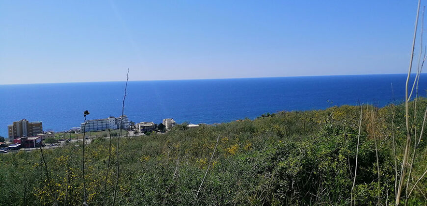 Land for Sale Monsef Jbeil Area 3950Sqm