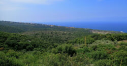 Land for Sale Berbara Jbeil Area 864Sqm