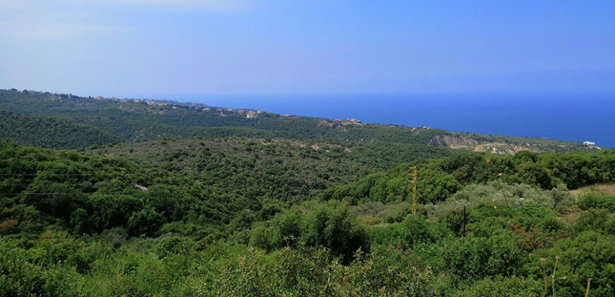 Land for Sale Berbara Jbeil Area 864Sqm