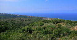 Land for Sale Berbara Jbeil Area 864Sqm