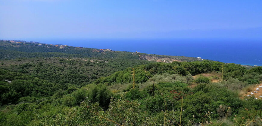 Land for Sale Berbara Jbeil Area 864Sqm