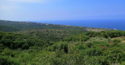Land for Sale Berbara Jbeil Area 864Sqm