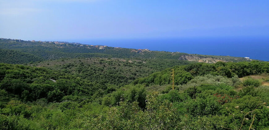 Land for Sale Berbara Jbeil Area 864Sqm