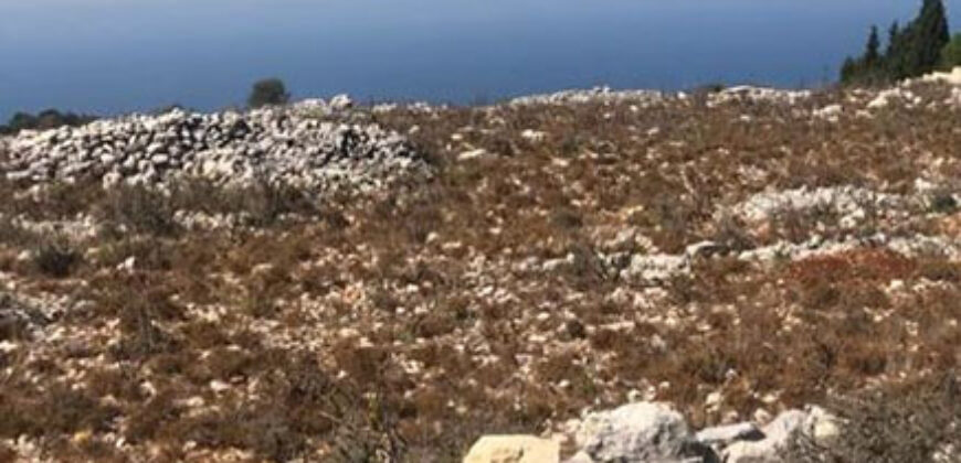 Land for Sale Maad Jbeil Area 11000Sqm