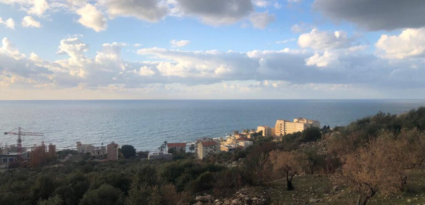 Land for Sale Monsef Jbeil Area 1337Sqm