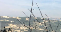 Land for Sale Yahchouch Kesserwan Area 850Sqm