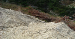 Land for Sale Blat Jbeil Area 1860Sqm