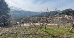 Land for Sale Qartaba Jbeil Area 1025Sqm