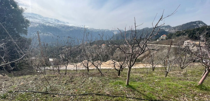 Land for Sale Qartaba Jbeil Area 1025Sqm