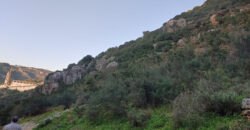 Land for Sale Jrabta Batroun Area 19459Sqm