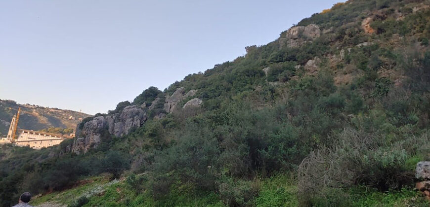 Land for Sale Jrabta Batroun Area 19459Sqm