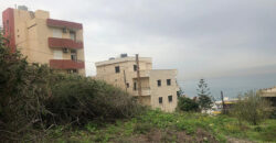 Land for Sale Halat Jbeil Area 790Sqm