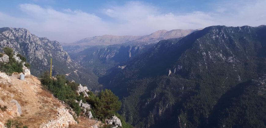 Land for Sale Frat Jbeil Area 2133Sqm
