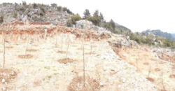 Land for Sale Frat Jbeil Area 2133Sqm