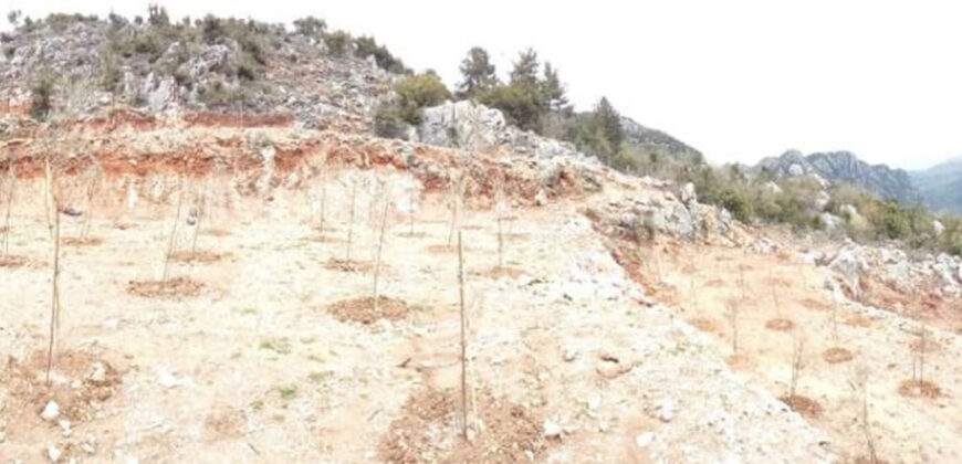 Land for Sale Frat Jbeil Area 2133Sqm