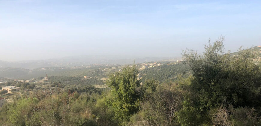 Land for Sale Zan Batroun Area 3206Sqm