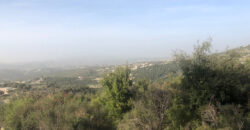 Land for Sale Zan Batroun Area 3206Sqm