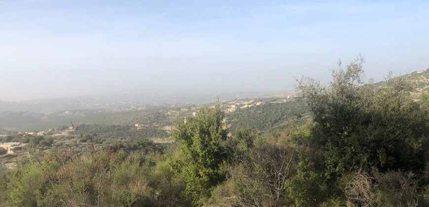 Land for Sale Zan Batroun Area 3206Sqm