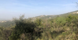 Land for Sale Zan Batroun Area 3206Sqm