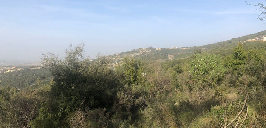 Land for Sale Zan Batroun Area 3206Sqm