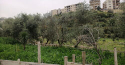 Land for Sale Blat Jbeil Area 882Sqm